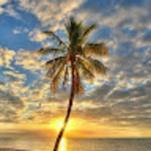 Meet your Posher, Cynthia